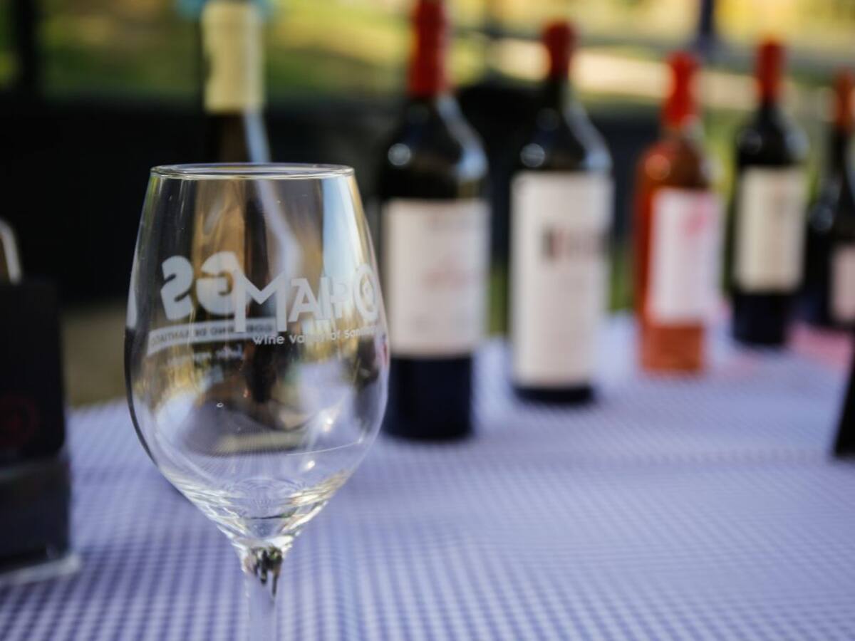 “Evento imperdible”: Vendimia del Valle del Maipo ya prepara su cuarta edición con vinos, gastronomía y cultura local