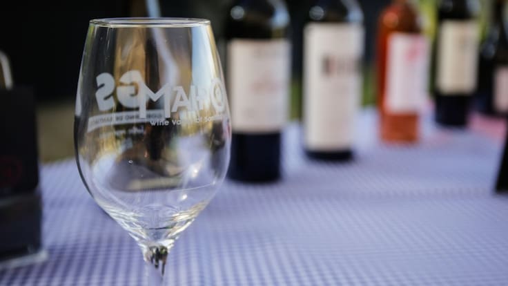 “Evento imperdible”: Vendimia del Valle del Maipo ya prepara su cuarta edición con vinos, gastronomía y cultura local