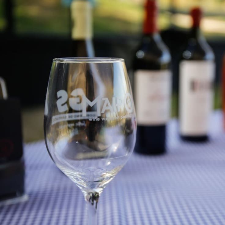 “Evento imperdible”: Vendimia del Valle del Maipo ya prepara su cuarta edición con vinos, gastronomía y cultura local