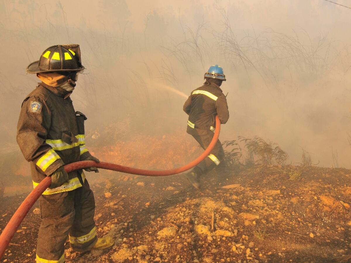 Onemi eleva a 39 los incendios forestales en Chile durante fin de semana: siete se mantienen activos