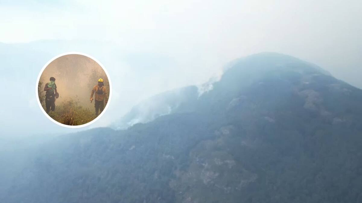 Chile en alerta: incendio forestal que afecta a la Patagonia argentina toca suelo nacional
