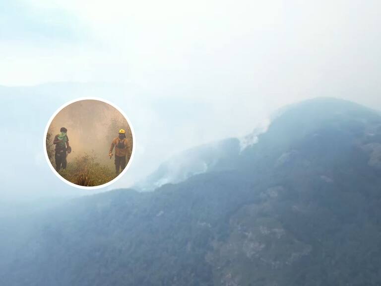 Chile en alerta: incendio forestal que afecta a la Patagonia argentina toca suelo nacional