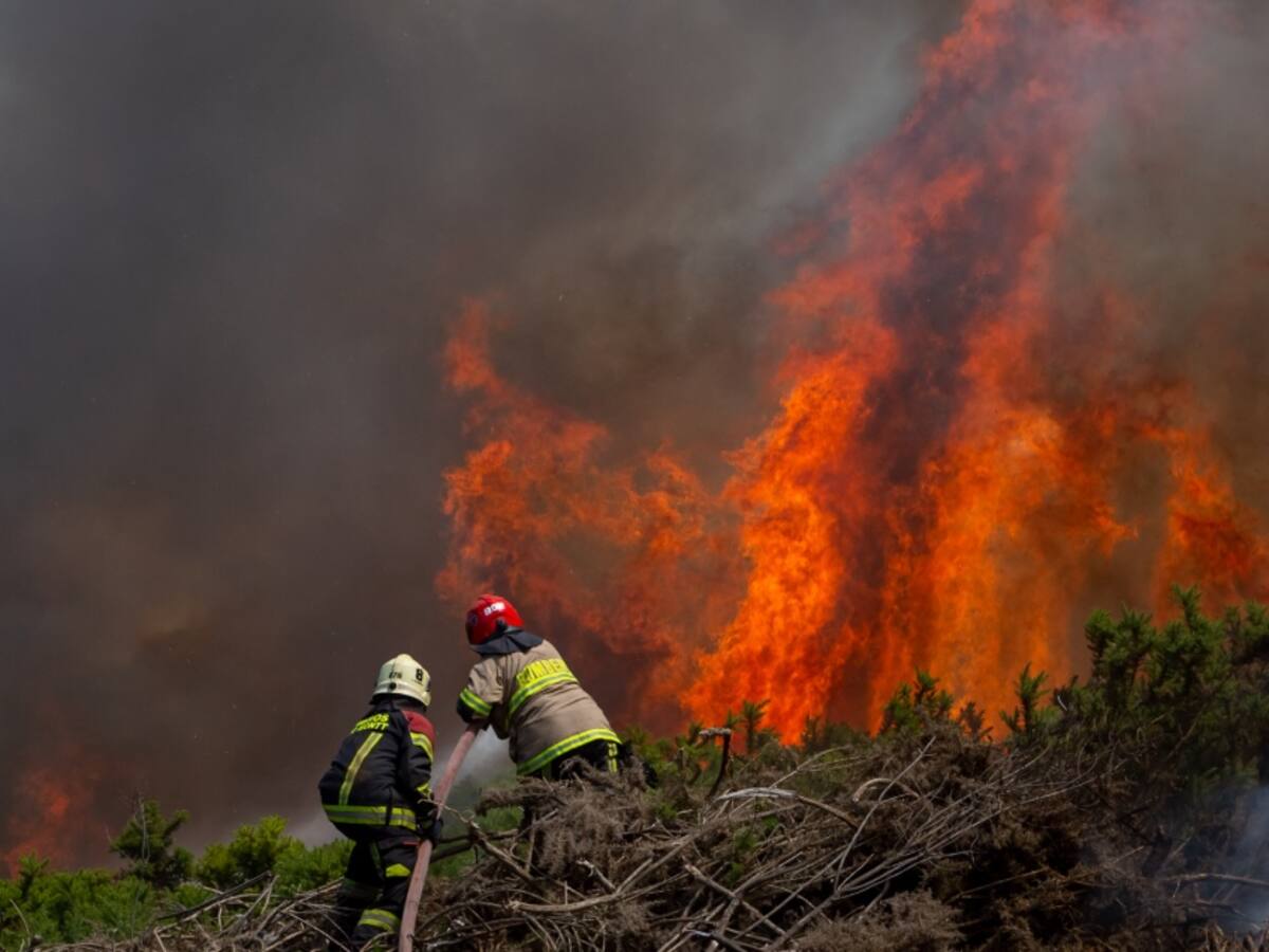 Alerta Roja para la comuna de Los Ángeles por incendio forestal: llamas están cercas a viviendas