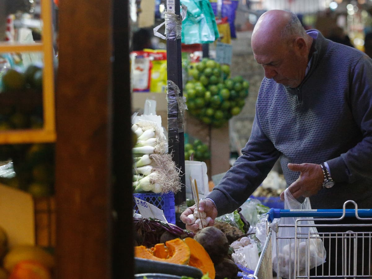 Chile figura entre los mayores exportadores del mundo en más de 50 productos: revisa los más destacados
