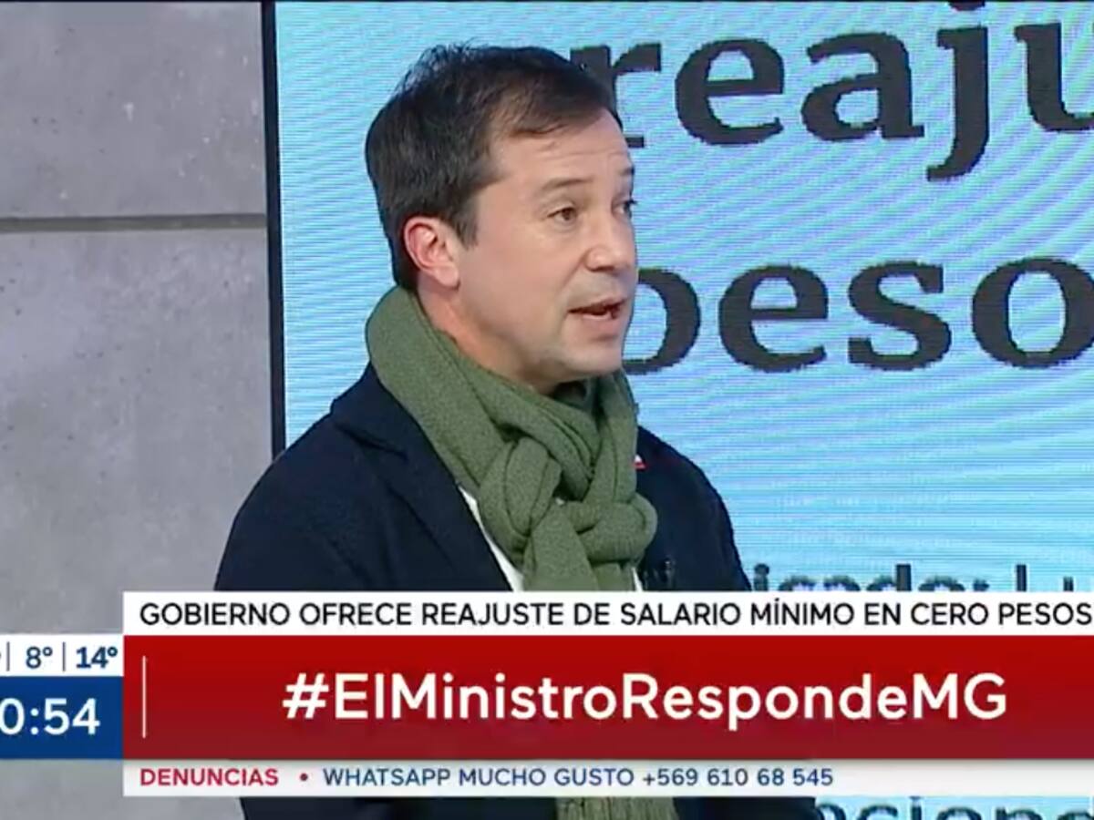 Ministro Palacios: «Si hay una persona que vive sola y que gana $320 mil le puede alcanzar sin problemas»