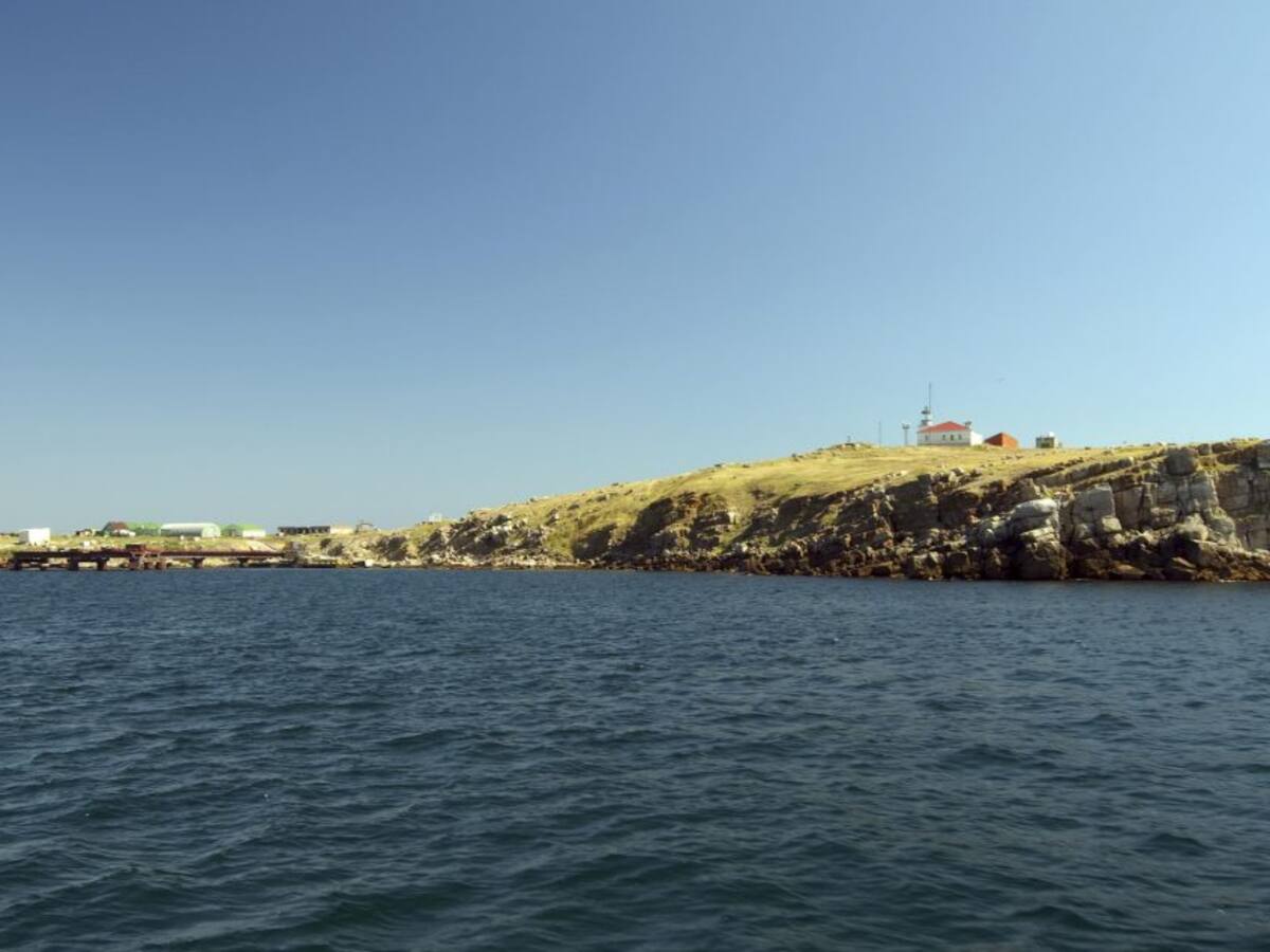 Rusia abandona isla ucraniana que es clave para el comercio de trigo: asegura que es un gesto de «buena voluntad»