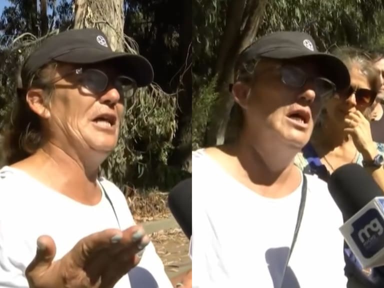 “Lo dejé machucado hasta por si acaso”: vecina de Algarrobo se llenó de elogios por enfrentar a ladrones de casas del sector