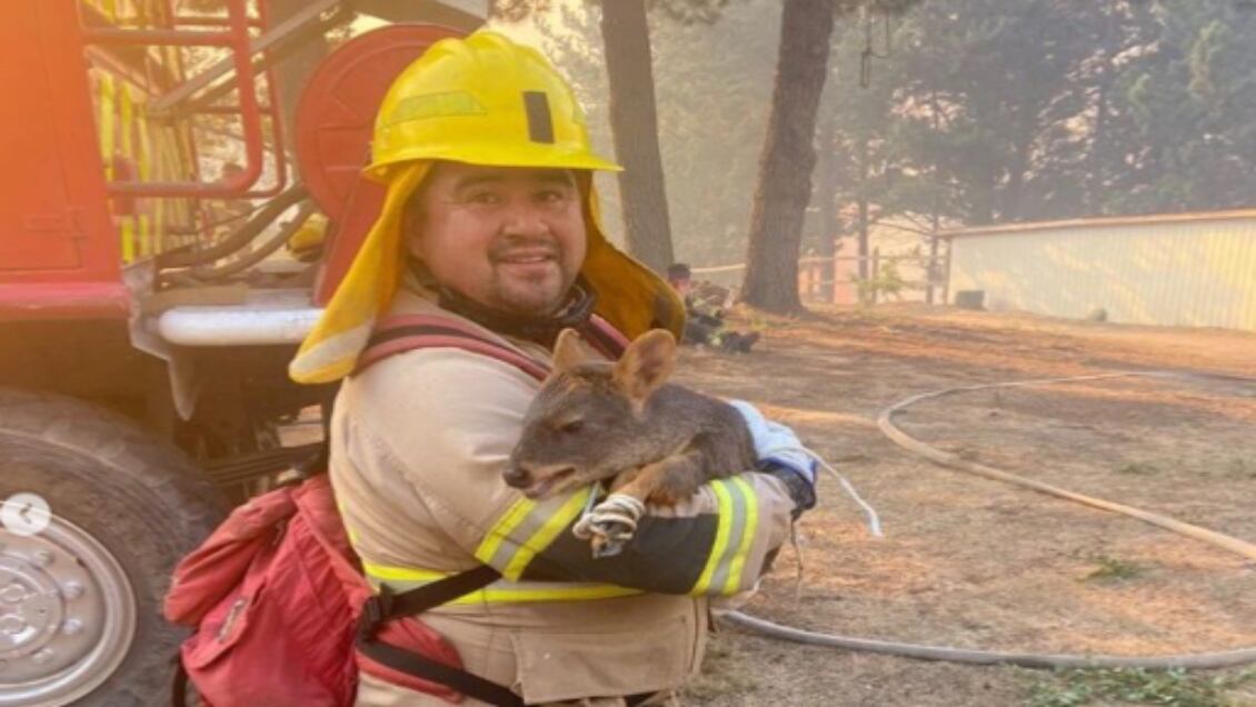 Octava cía Bomberos Concepción