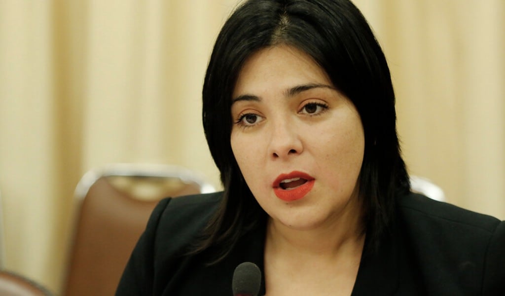 Diputada Karol Cariola