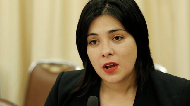 Diputada Karol Cariola