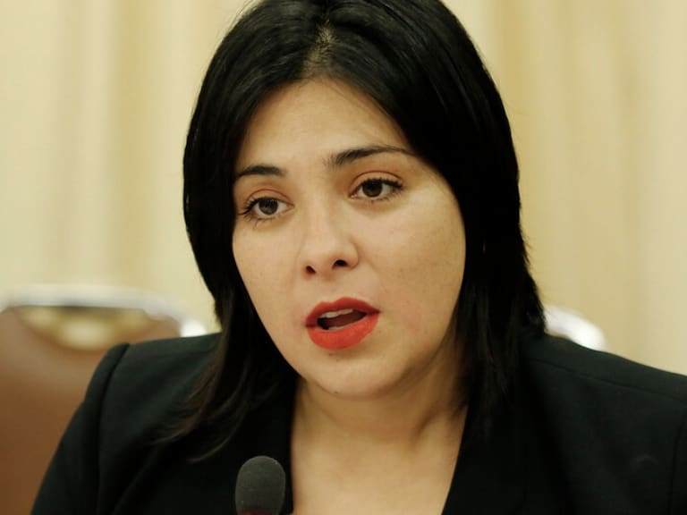 Diputada Karol Cariola