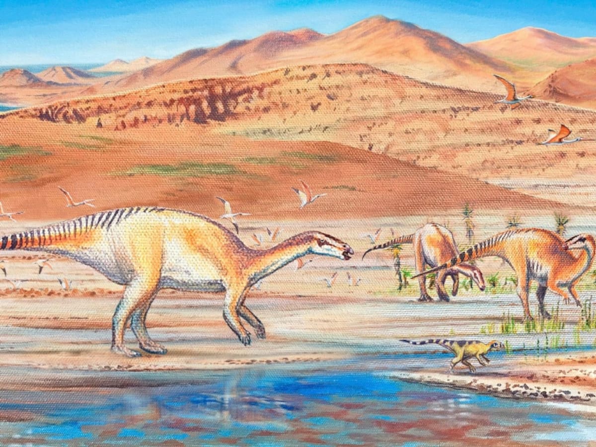 Gracias a un hallazgo realizado en 1988: confirman antigua presencia en Chile de especie de dinosaurio que vivió hace 140 millones de años