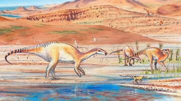 Gracias a un hallazgo realizado en 1988: confirman antigua presencia en Chile de especie de dinosaurio que vivió hace 140 millones de años