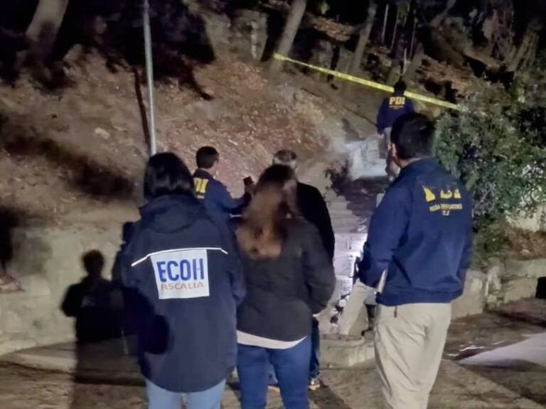 Encuentran sin vida a un adolescente de 16 años en pleno parque de Concepción: presentó heridas de arma blanca