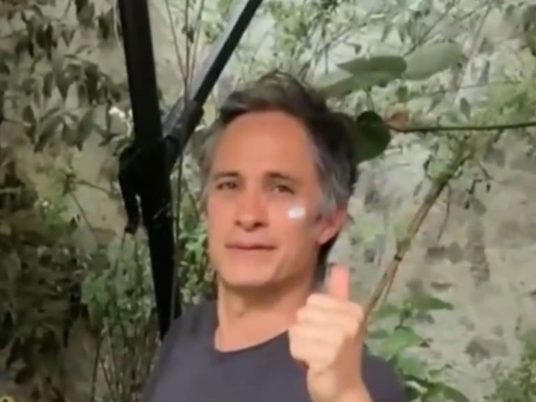 “¿Por qué me estás grabando?“: Gael García Bernal vive incómodo momento por un fanático y genera debate en redes