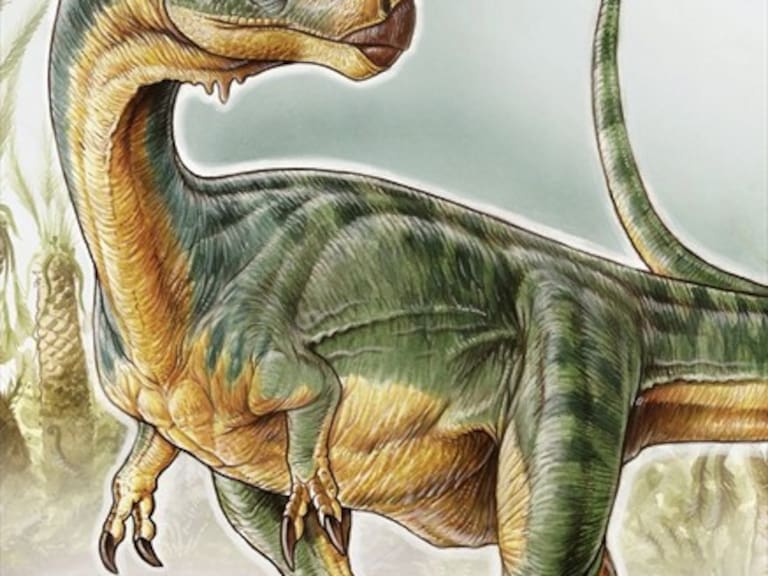 Científicos consideran al Chilesaurus como el descubrimiento paleontológico del siglo