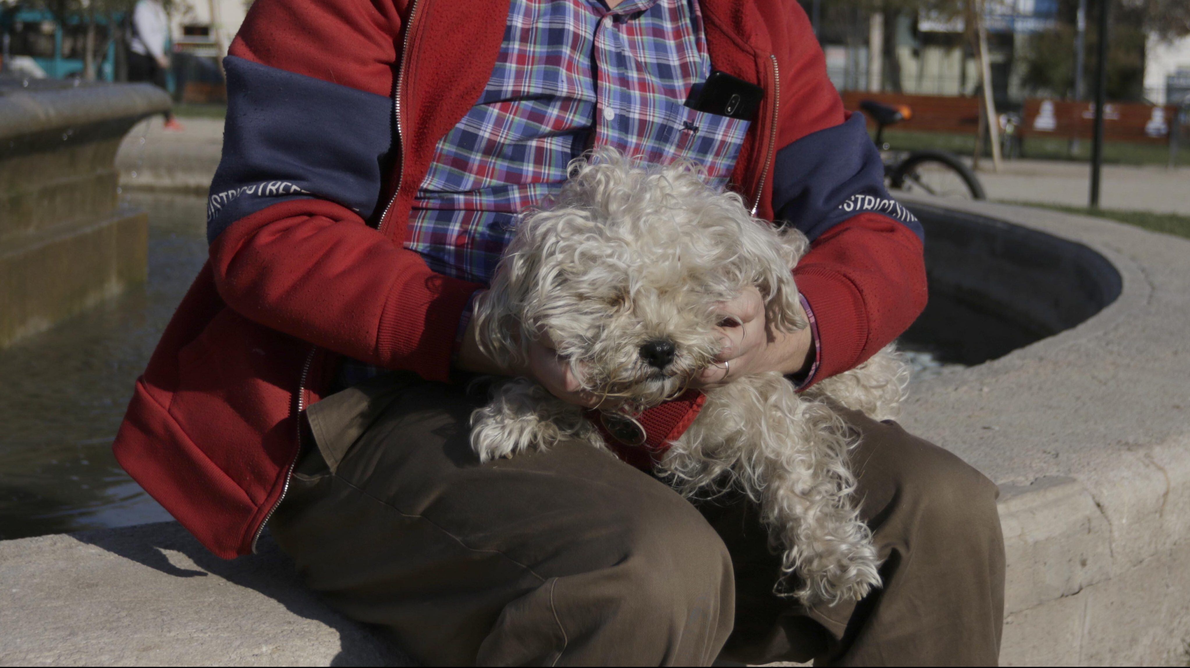 Hombre y perro