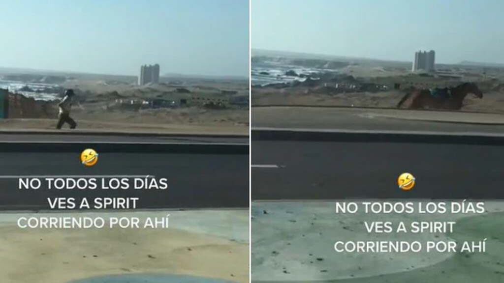 Video viral de carabinero y su caballo