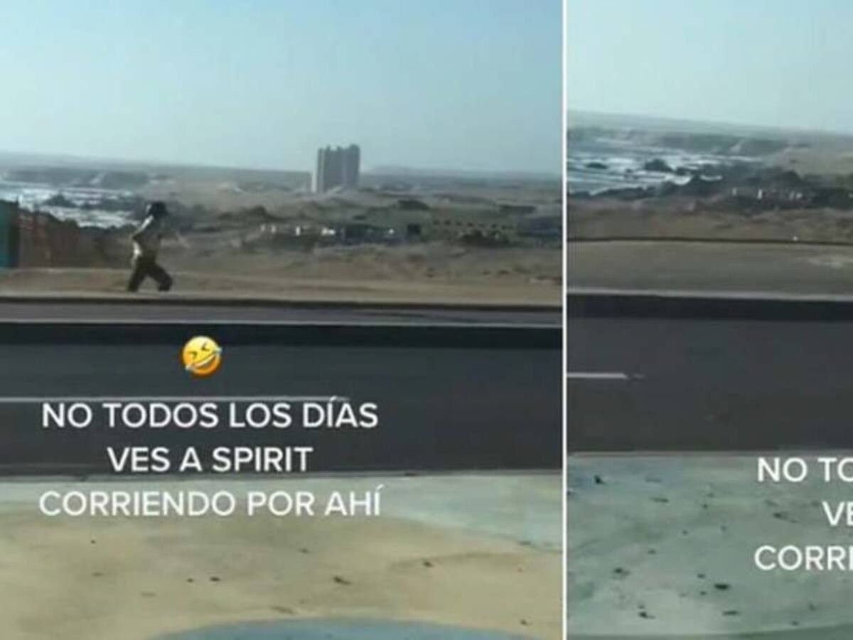 Video viral: un carabinero persiguió a su caballo en Antofagasta