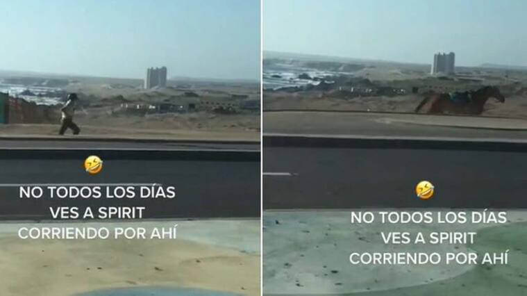 Video viral de carabinero y su caballo