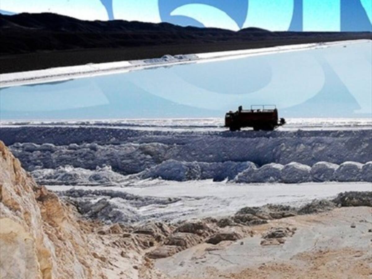 FNE abre investigación por venta del 24% de Soquimich a una empresa china