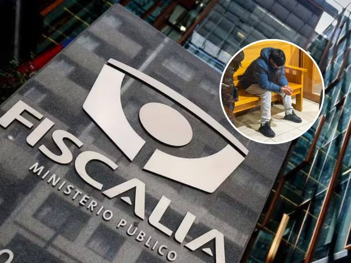 Acusan fuga y ocultamiento de pruebas: la explicación de Fiscalía por prisión preventiva del tío de Francisca Millahual