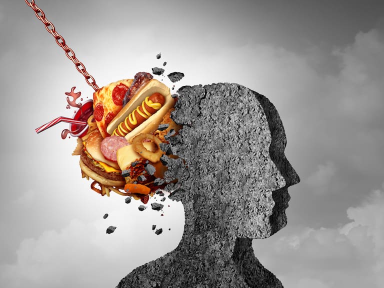 Comida chatarra