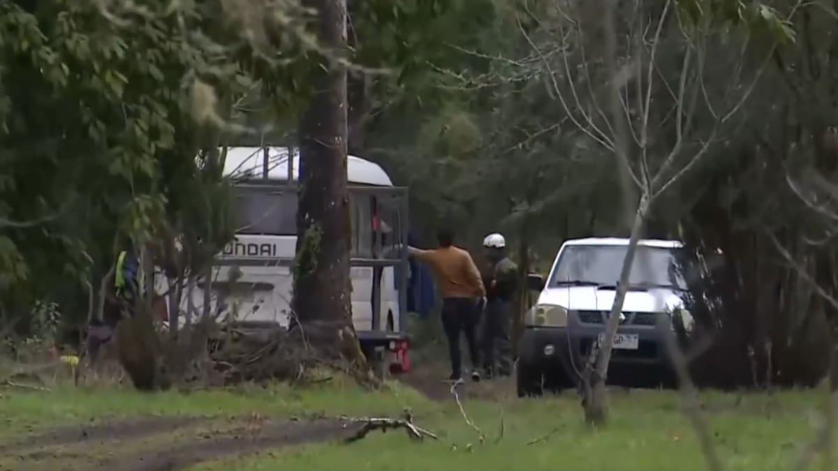Dejó sus estudios, pero había decidido volver este semestre: quién era el joven que murió en el río Liucura