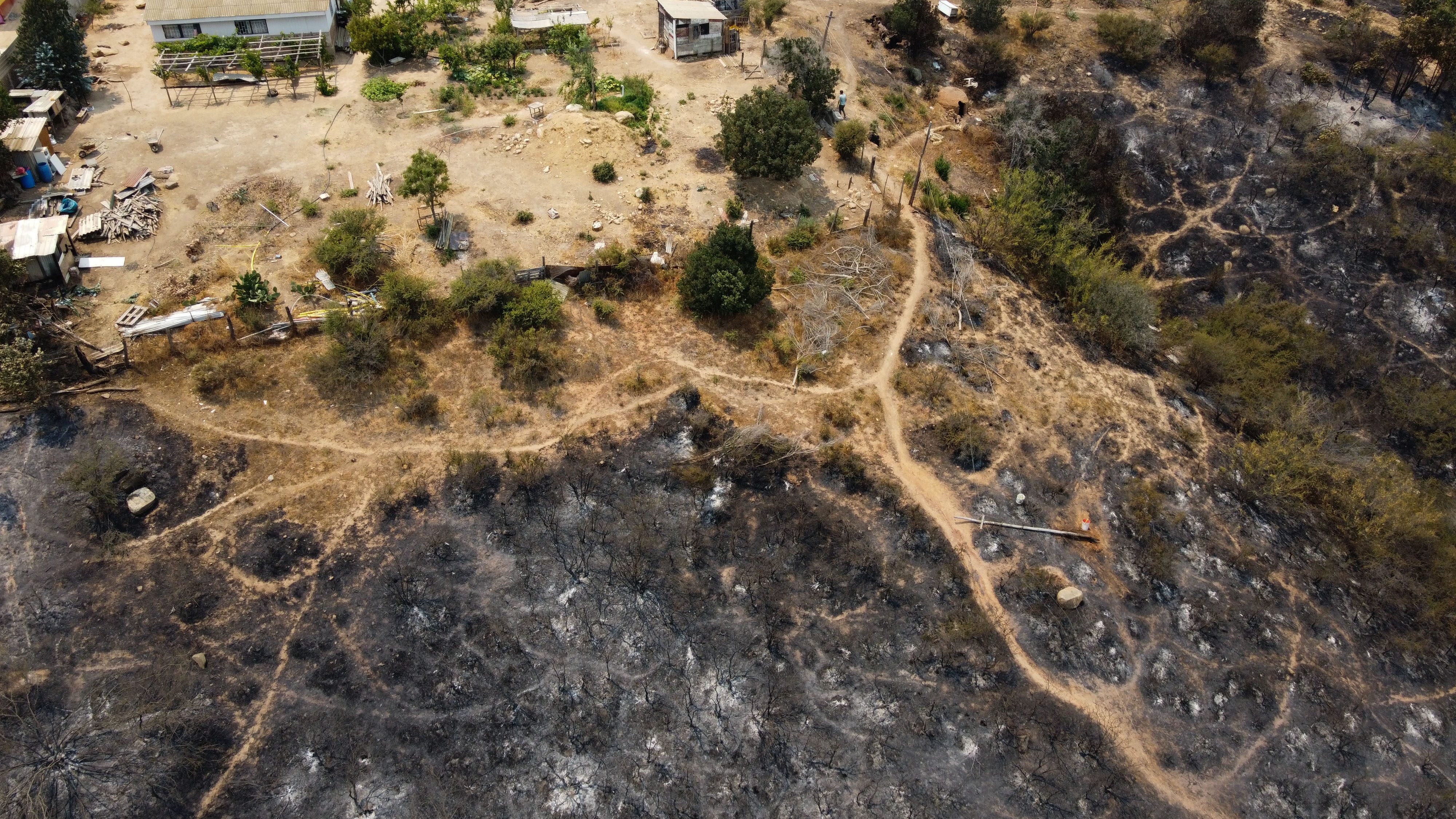 16 DE ENERO DE 2021/QUILPUEIncendio forestal en el sector Los Pinos de Quilpue.
FOTO: LEONARDO RUBILAR CHANDIA/AGENCIAUNO