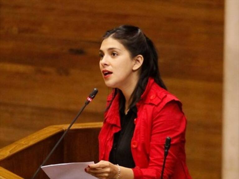 Karol Cariola solicita fiscal especial para investigar ataque a mujeres durante marcha