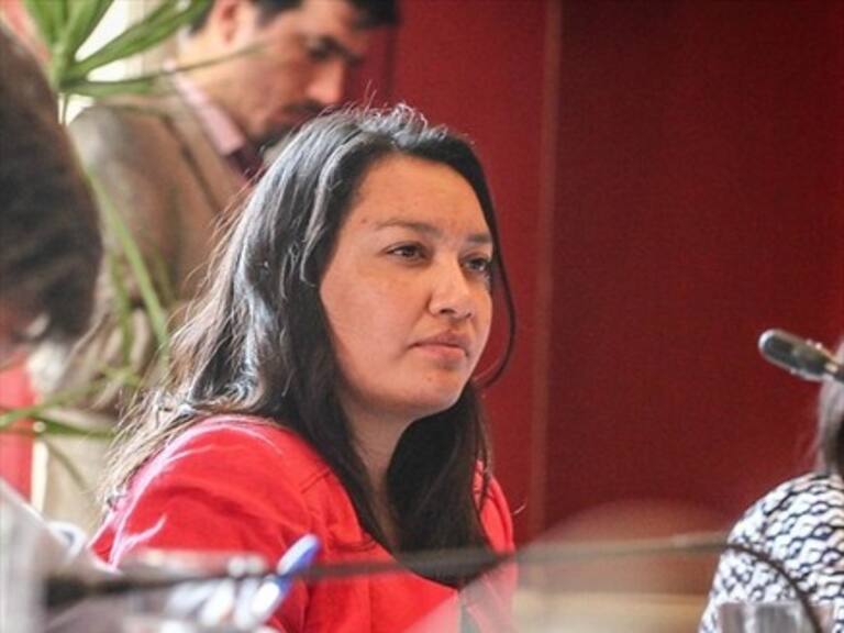 «Nos devuelve al siglo XIX»: Castillo criticó indicación del Gobierno sobre adopción homoparental