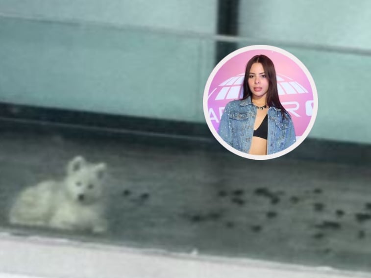 influencer Chely Schneider por presunto maltrato animal