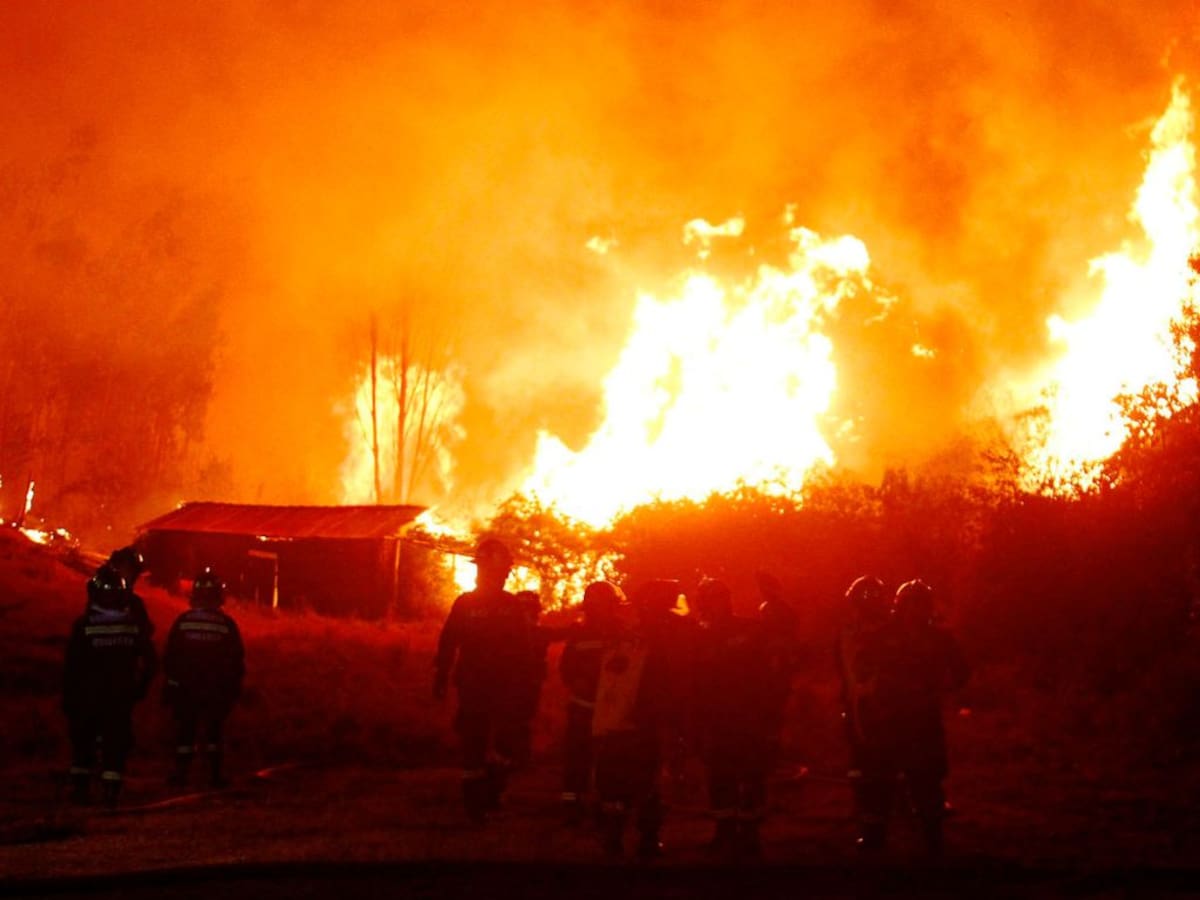 Gobierno actualiza cifras por incendios forestales en Chile: 19 fallecidos y más de 1.500 damnificados
