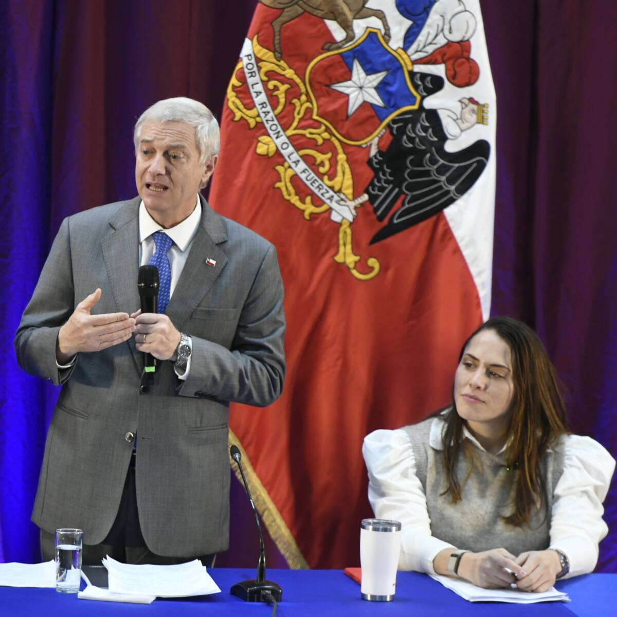 Gobierno anuncia proyecto de ley “Rol Único de Vándalos” para quitar beneficios sociales a infractores