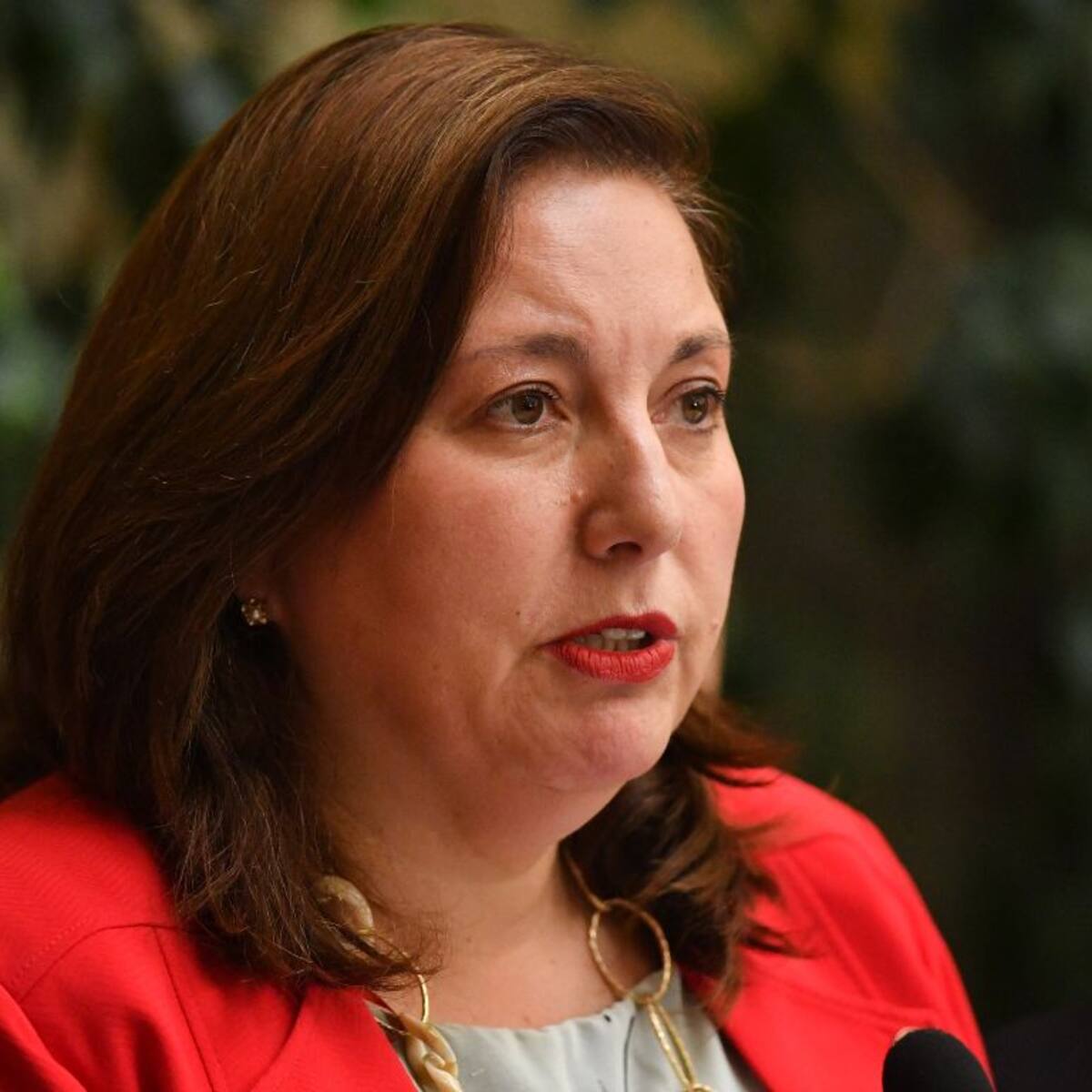 “El Gobierno mintió”: senadora Vodanovic (PS) critica decreto que reduce fondos a hospitales