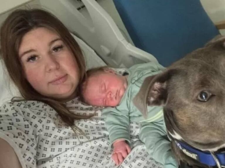 Hospital británico hace historia permitiendo por primera vez un perro de asistencia en un parto