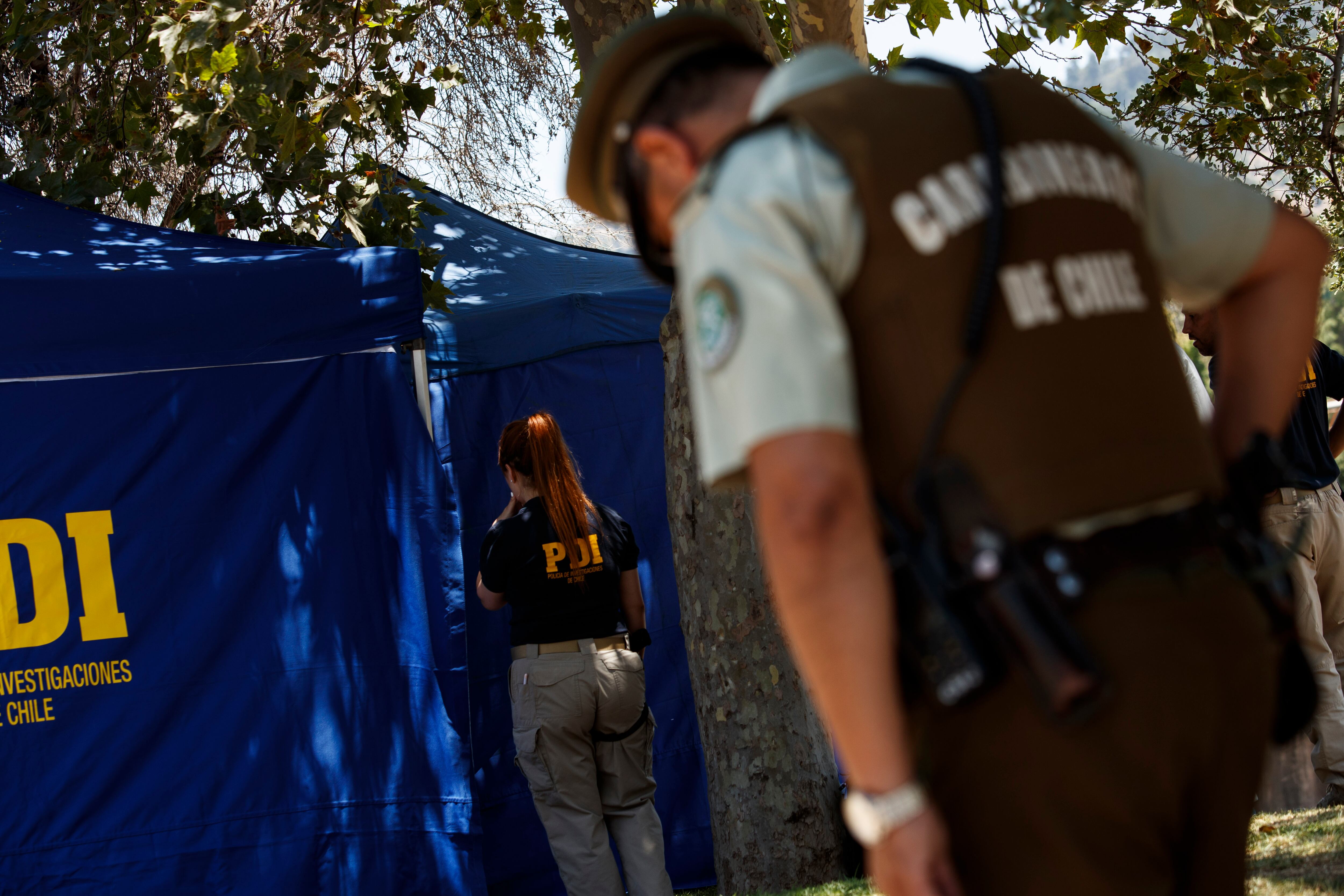 Los cinco niveles de la nueva Ley RUF: las situaciones en que Carabineros y PDI podrán disparar sus armas
