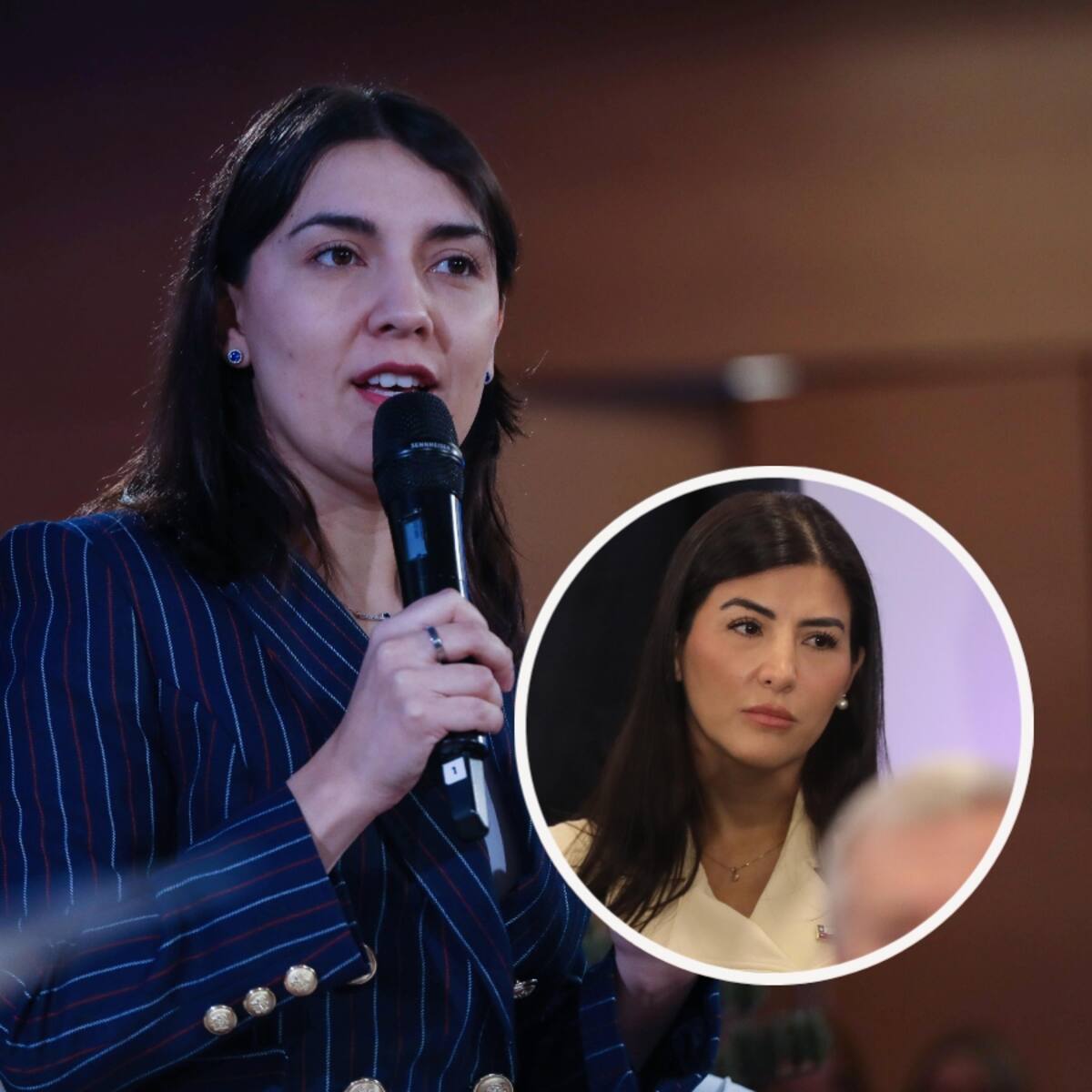 Tensión en el Ministerio de la Mujer escala hasta Cerro Castillo en cita de RN con el Presidente Kast
