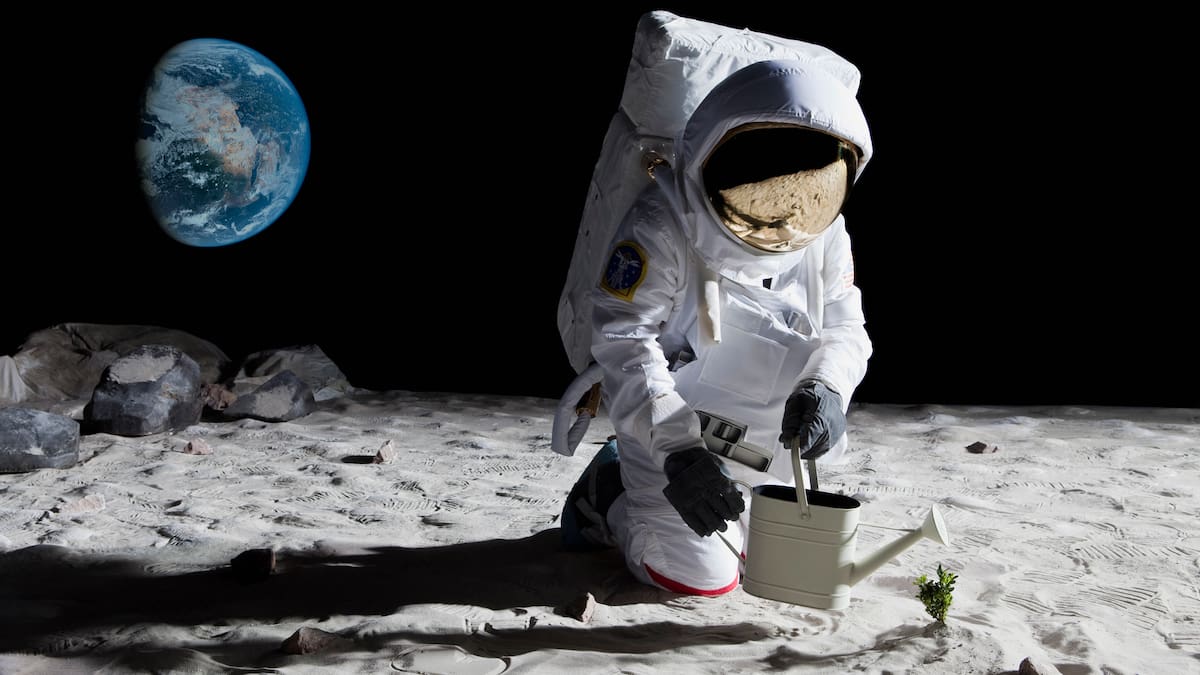 ¿Adiós a la población humana en Marte? Los problemas de la fecundación humana en el espacio representan un gran desafío