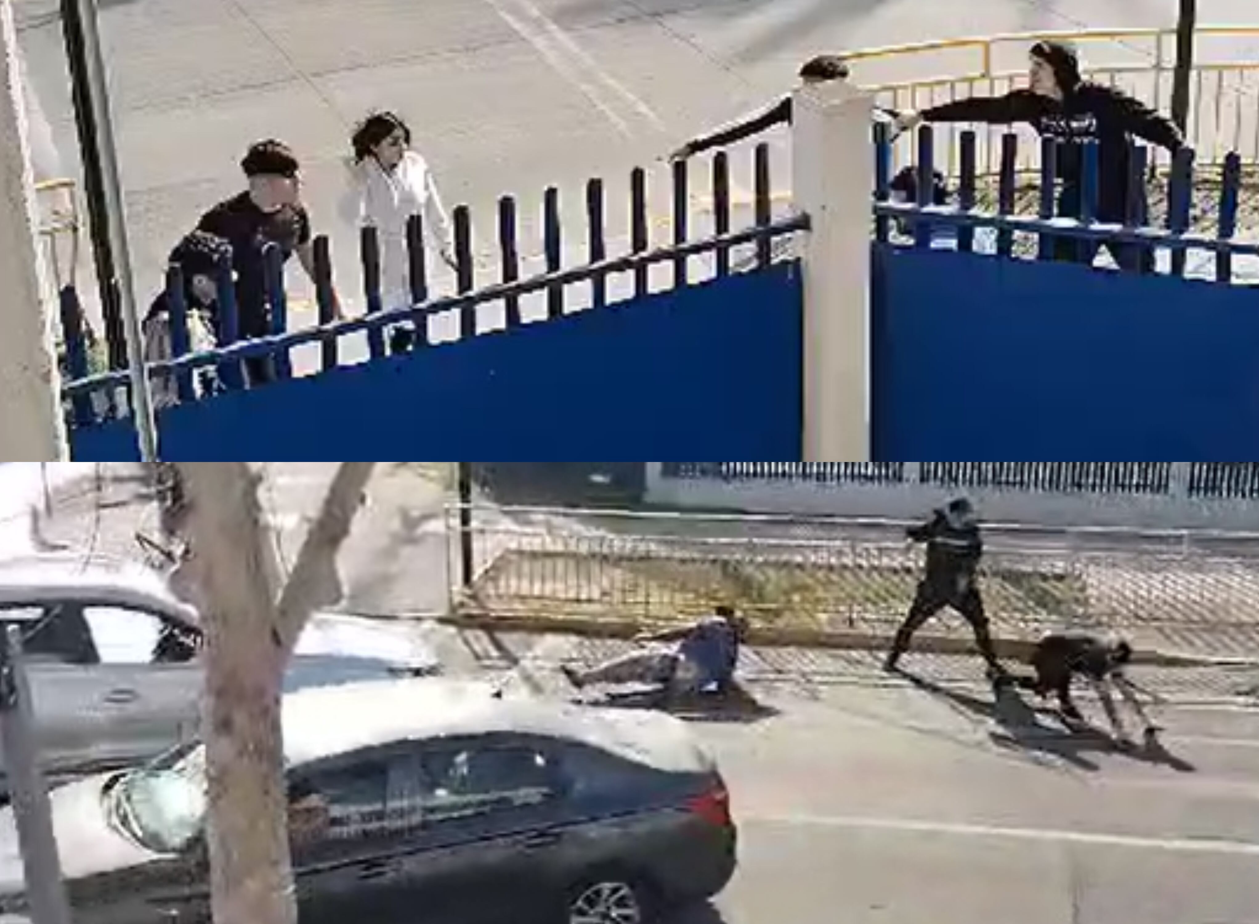 Capturas