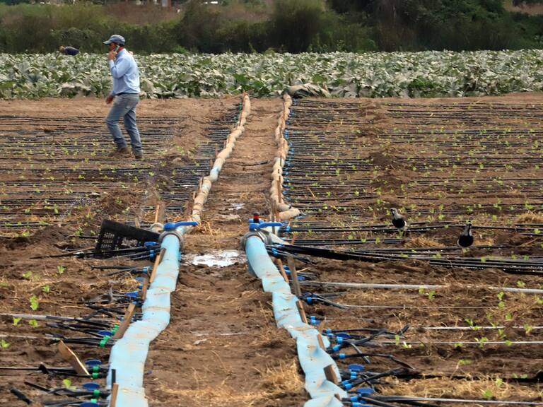 Reportaje ADN sequía