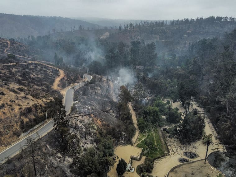 Tras incendios forestales: realizan homenaje a trabajadora fallecida en Jardín Botánico junto a sus familiares