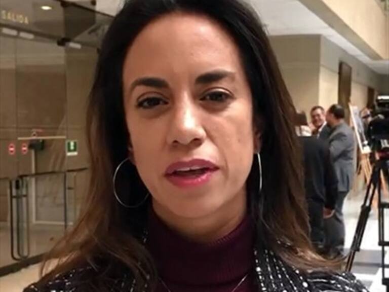 Paulina Núñez explicó a ADN el proyecto «Pago proporcional en la educación superior»