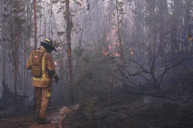 incendio Parque Patagonia (referencial)