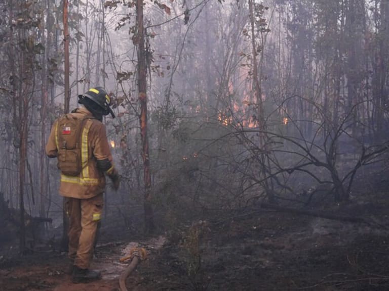 incendio Parque Patagonia (referencial)