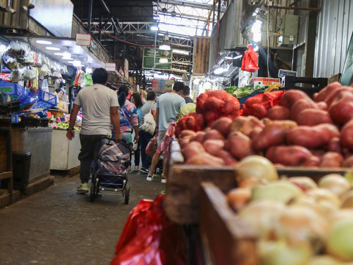Inicia la marcha blanca en medio de críticas: Mercado Lo Valledor comienza a pedir cédula de identidad a usuarios