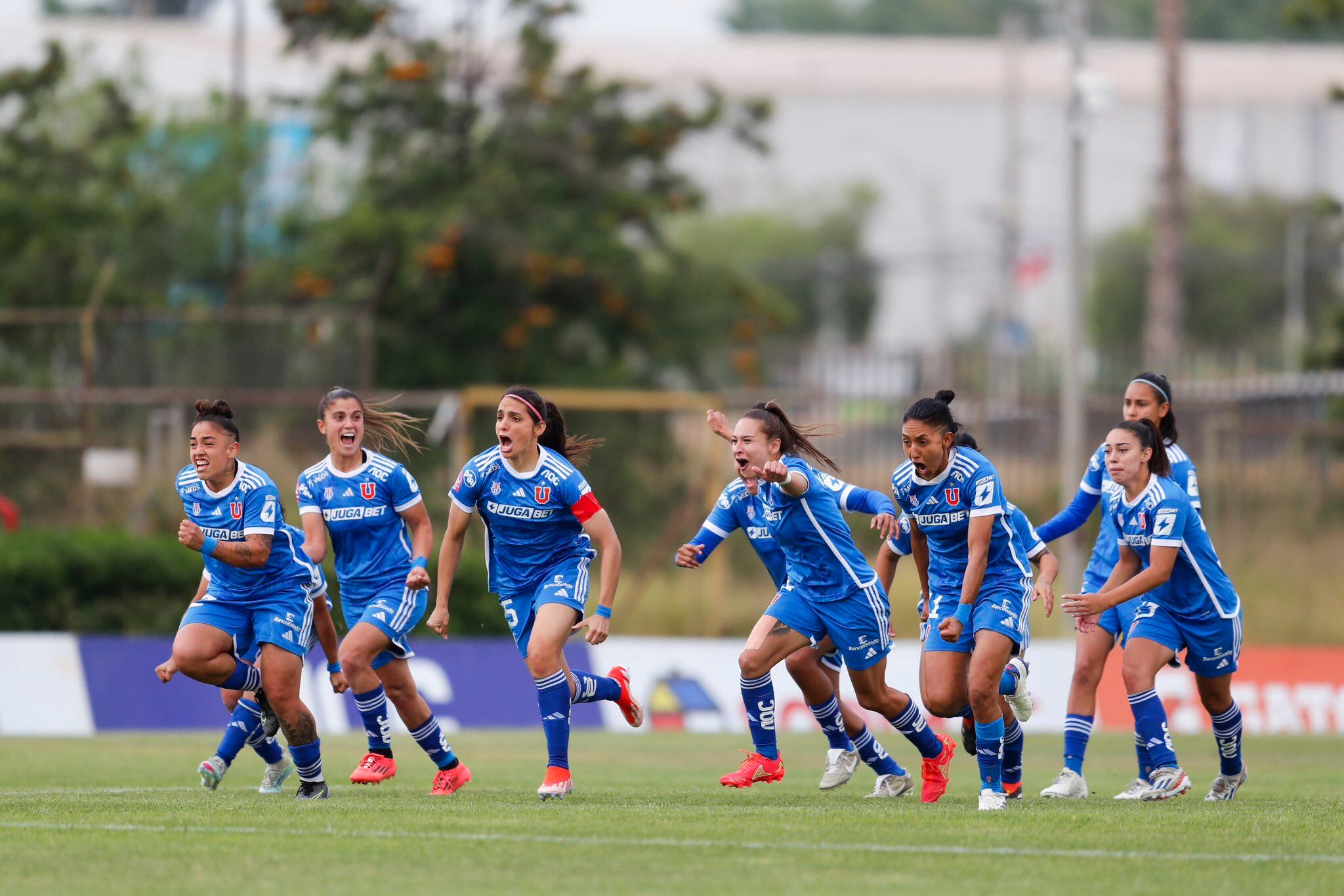 X: @udechilefem