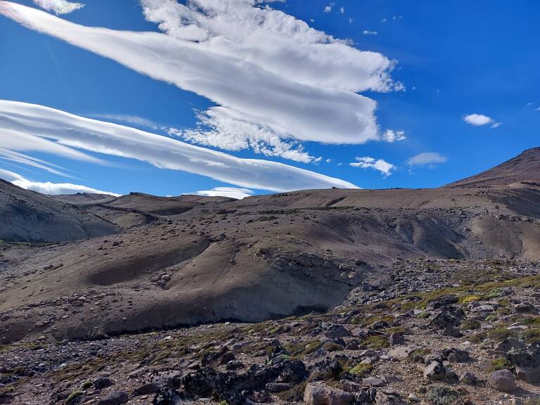 Red Paleontológica de la Universidad de Chile. Fotos: Alejandra Fuenzalida.