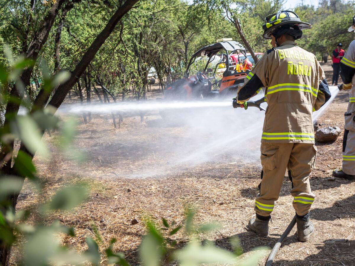FIRE RES: Investigador del Instituto Sistemas Complejos de Ingeniería explica proyecto para prevenir incendios forestales