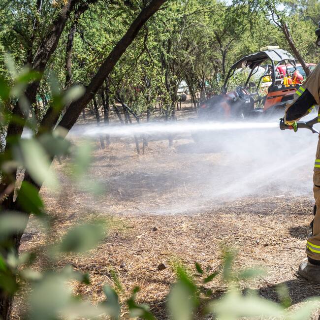 FIRE RES: Investigador del Instituto Sistemas Complejos de Ingeniería explica proyecto para prevenir incendios forestales